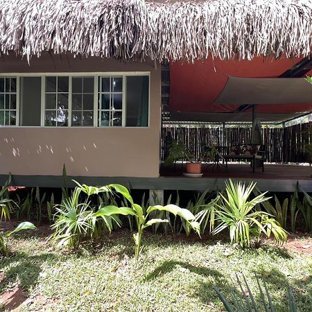 Monkey Lodge Panama Chilibre Екстериор снимка