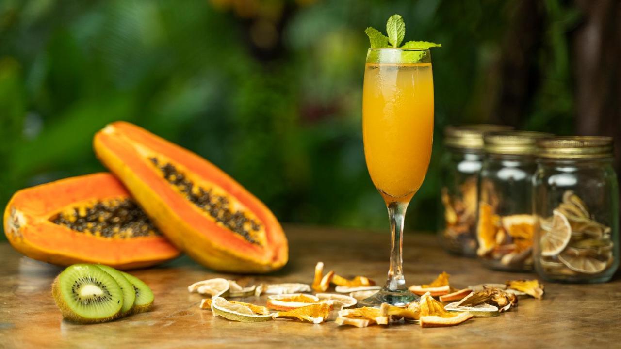 Monkey Lodge Panama Chilibre Екстериор снимка