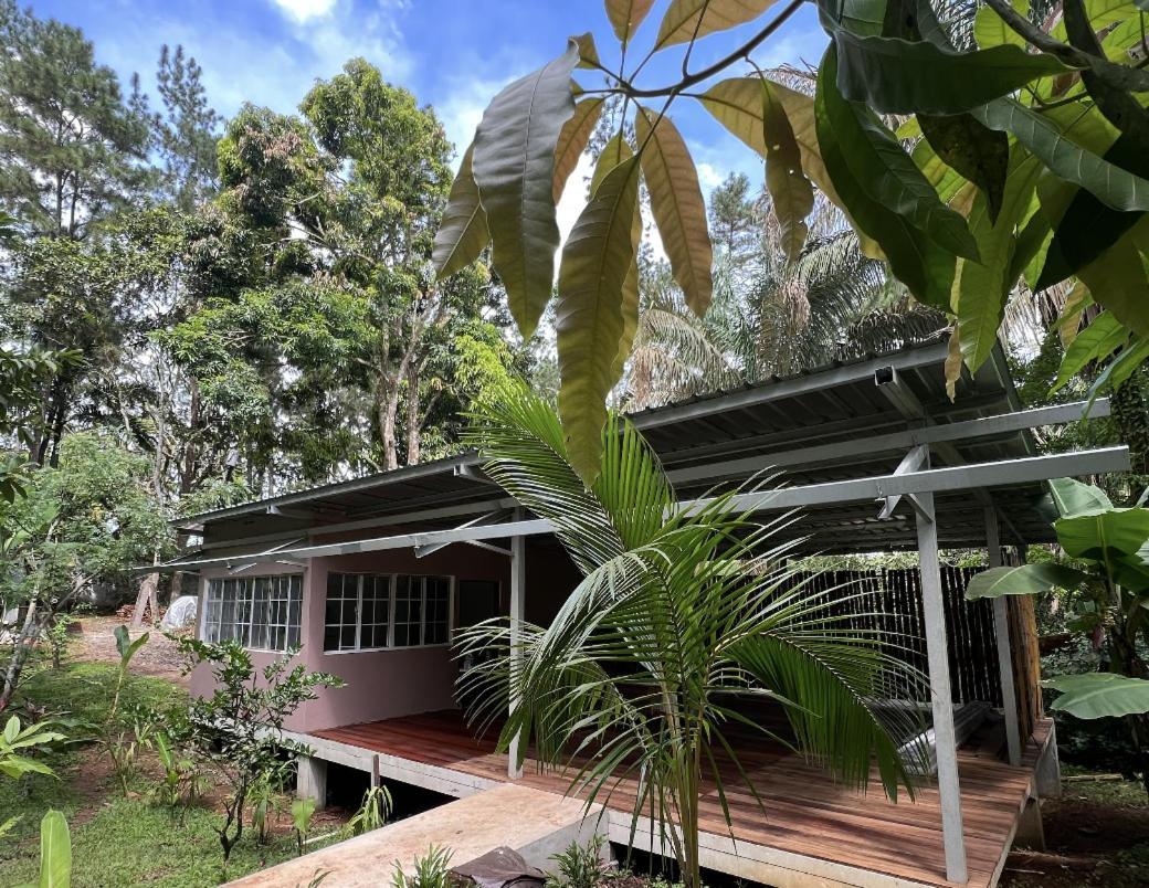 Monkey Lodge Panama Chilibre Екстериор снимка