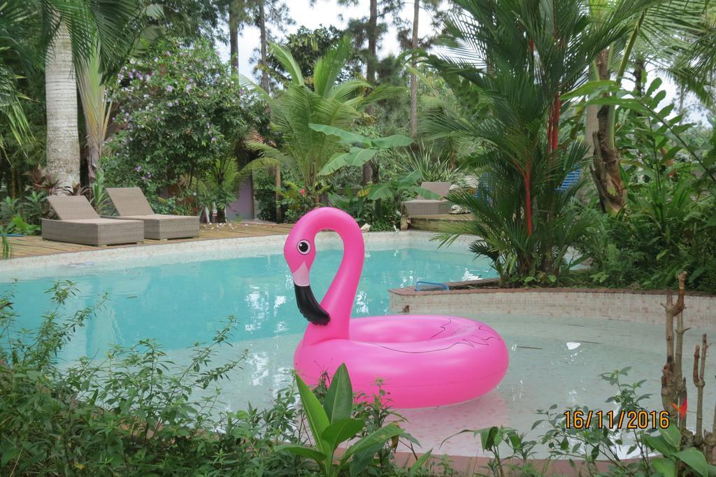 Monkey Lodge Panama Chilibre Екстериор снимка