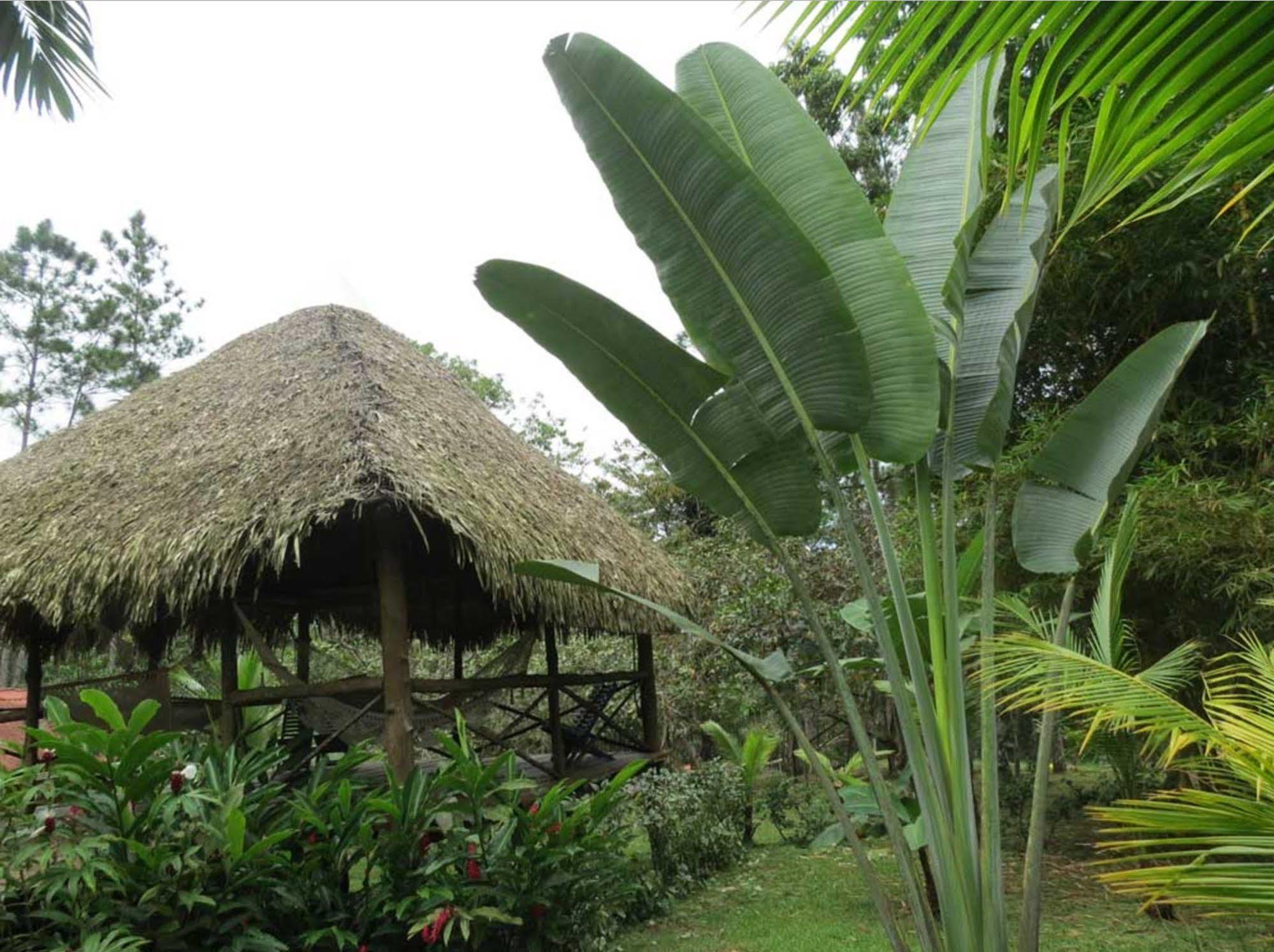 Monkey Lodge Panama Chilibre Екстериор снимка