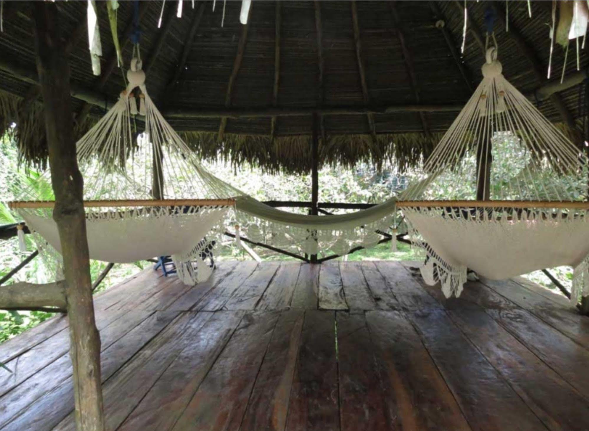 Monkey Lodge Panama Chilibre Екстериор снимка